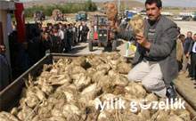 Şeker yasası değiştirilmelidir!