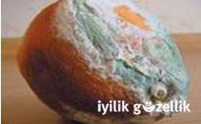 K�flenen g�dalar� yemeyin!