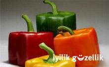 GDO'lu ürünlerin ithaline karşıyız!