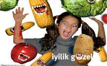 GDO hakkında 7 hayati soru?