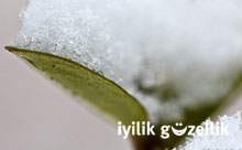Kar duas�