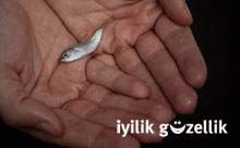 Marmara'da balık nesli tükeniyor