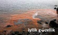 Karadeniz'deki kızıl tabakanın nedeni