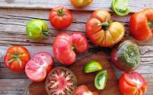 Yeşil domates kas erimesini önlüyor