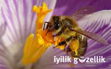 Ar�n�n mucize �r�nleri nas�l kullan�l�r?