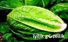 A, C, B, D, E vitaminlerini içeriyor