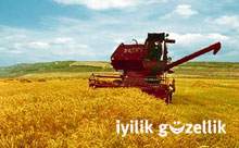Tar�ma son darbe!