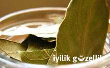 Defne yaprağı faydaları